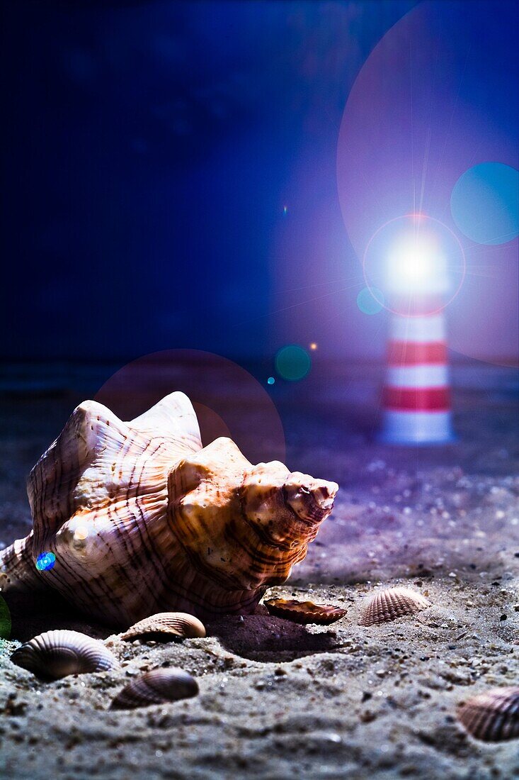 Still life of an illuminated miniature lighthouse and a sea shell