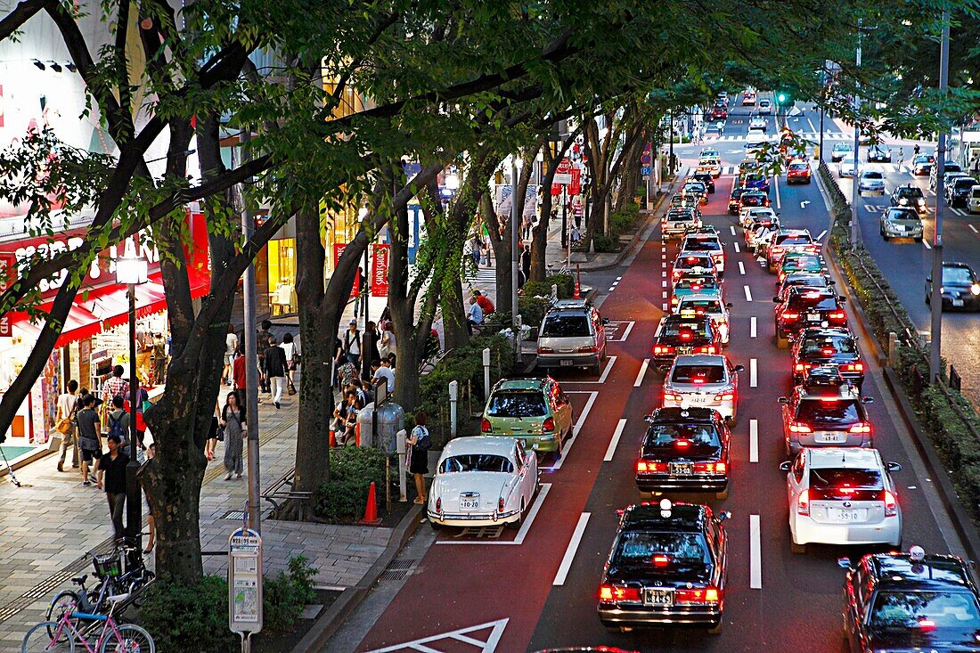 Ometesando street, Tokyo