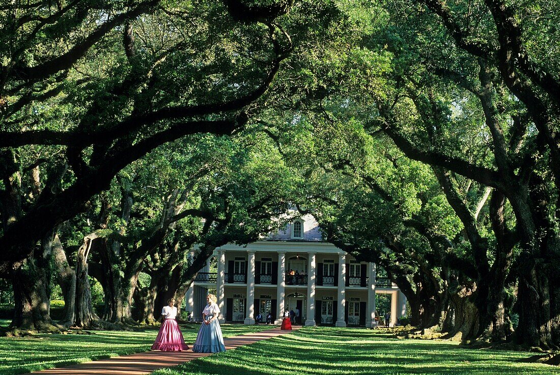 Oak Alley Plantation, Vacherie, Louisiana, Vereinigte Staaten von Amerika, Amerika