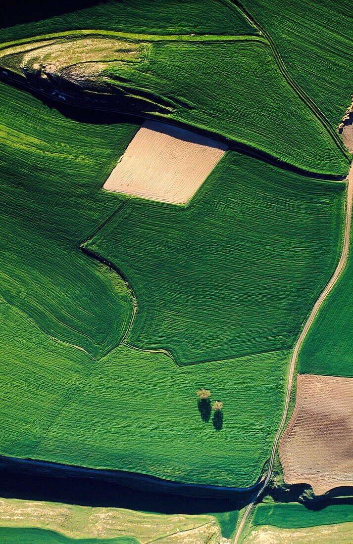 Farmlands  Aerial view of Bureba region  Burgos  Castile-Leon  Spain  The Way of Saint James