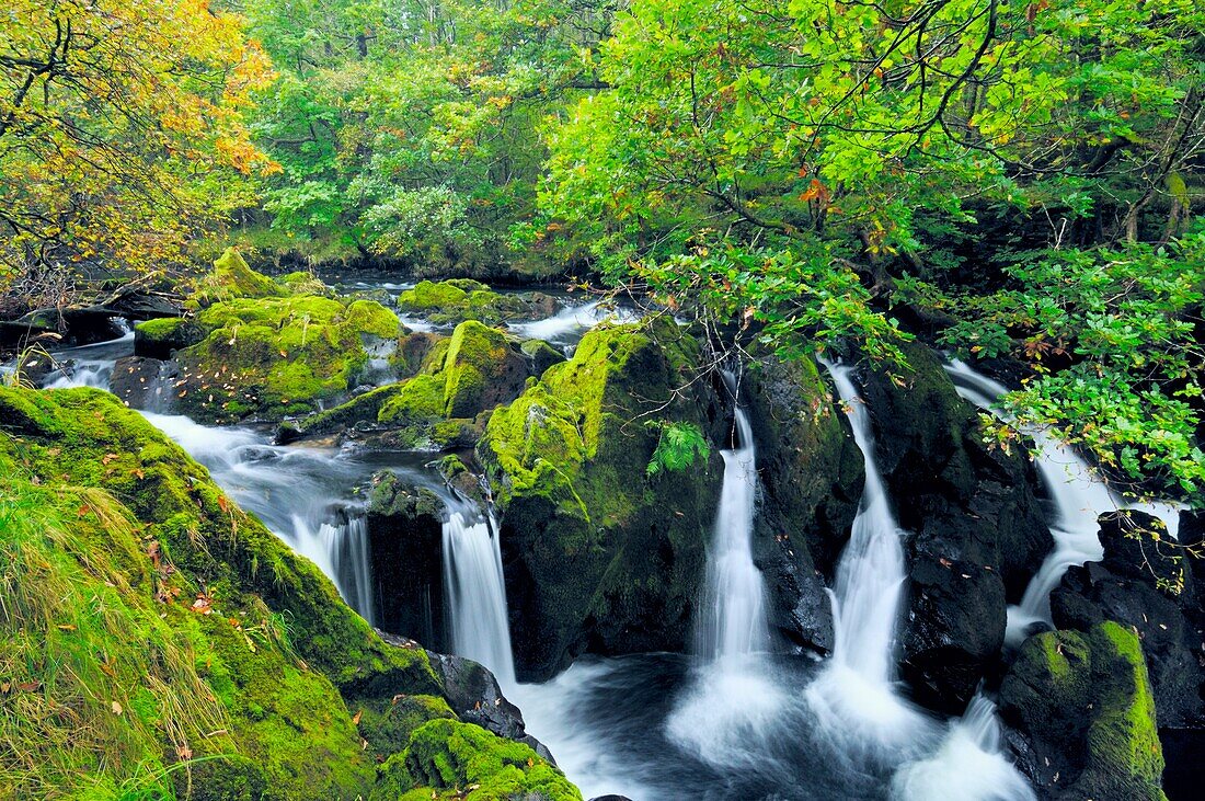 Colwith Force Waterfall on the River Brathay in The Lake District National Park near Colwith, Cumbria, England, United Kingdom