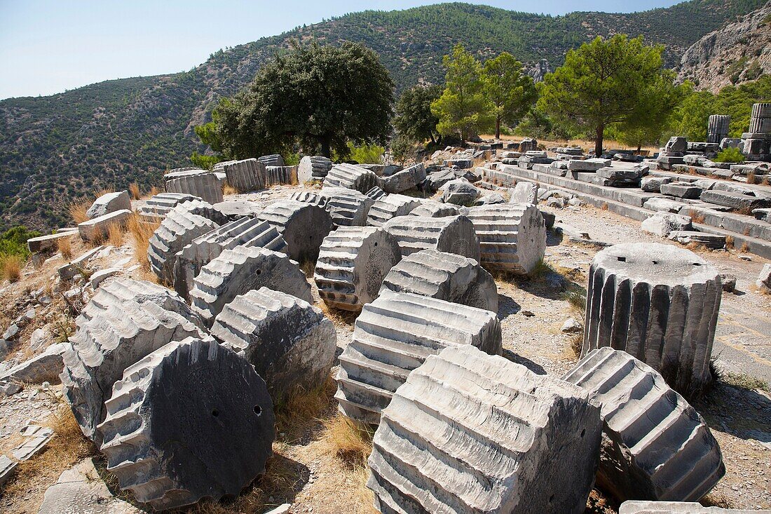 asia, turkey, southern aegean coast, priene, archeological area