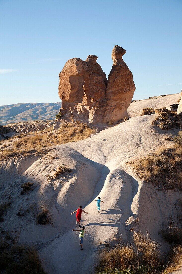 camel-shaped rock, devrenet valley, landscape around goreme, cappadocia, anatolia, turkey, asia