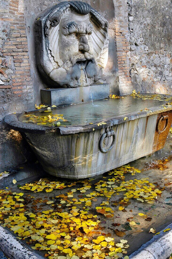 Water fountain Piazza Pietro D’Illiria Rome Italy