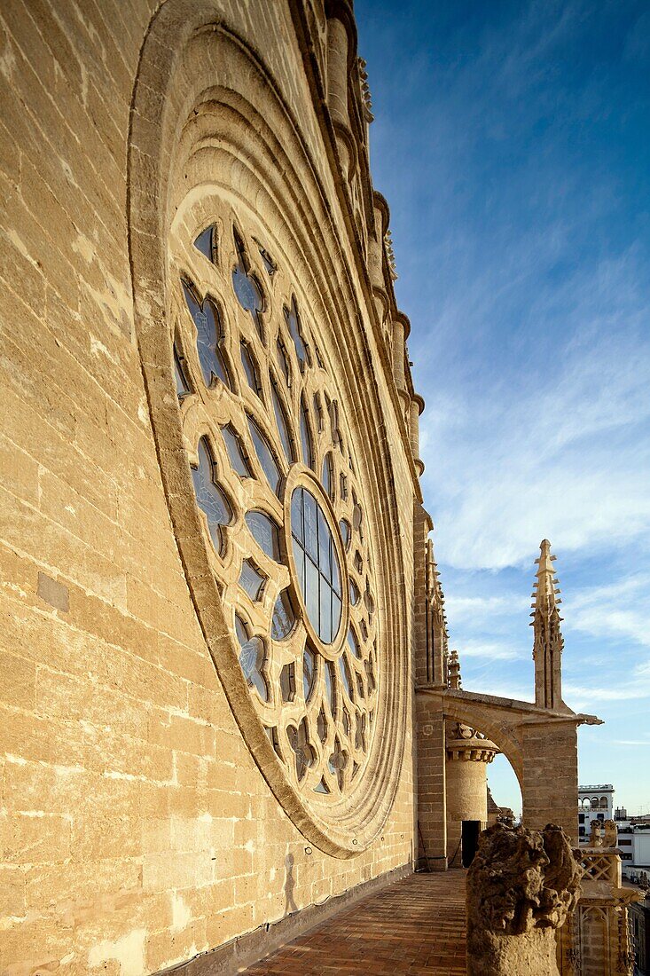 Detial of the rose window on the facade of Santa Maria de la Sede Cathedral, Seville, Spain