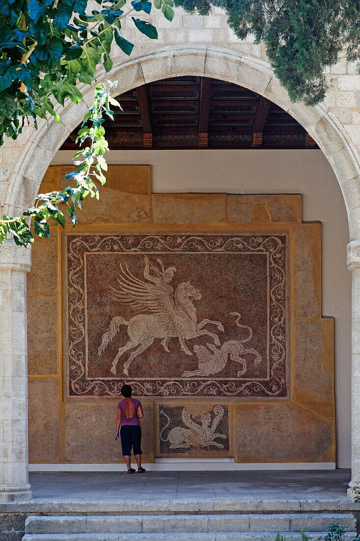 Bodenmosaike im archäologischen Museum, Rhodos Stadt, Rhodos, Dodekanes, Griechenland, Europa