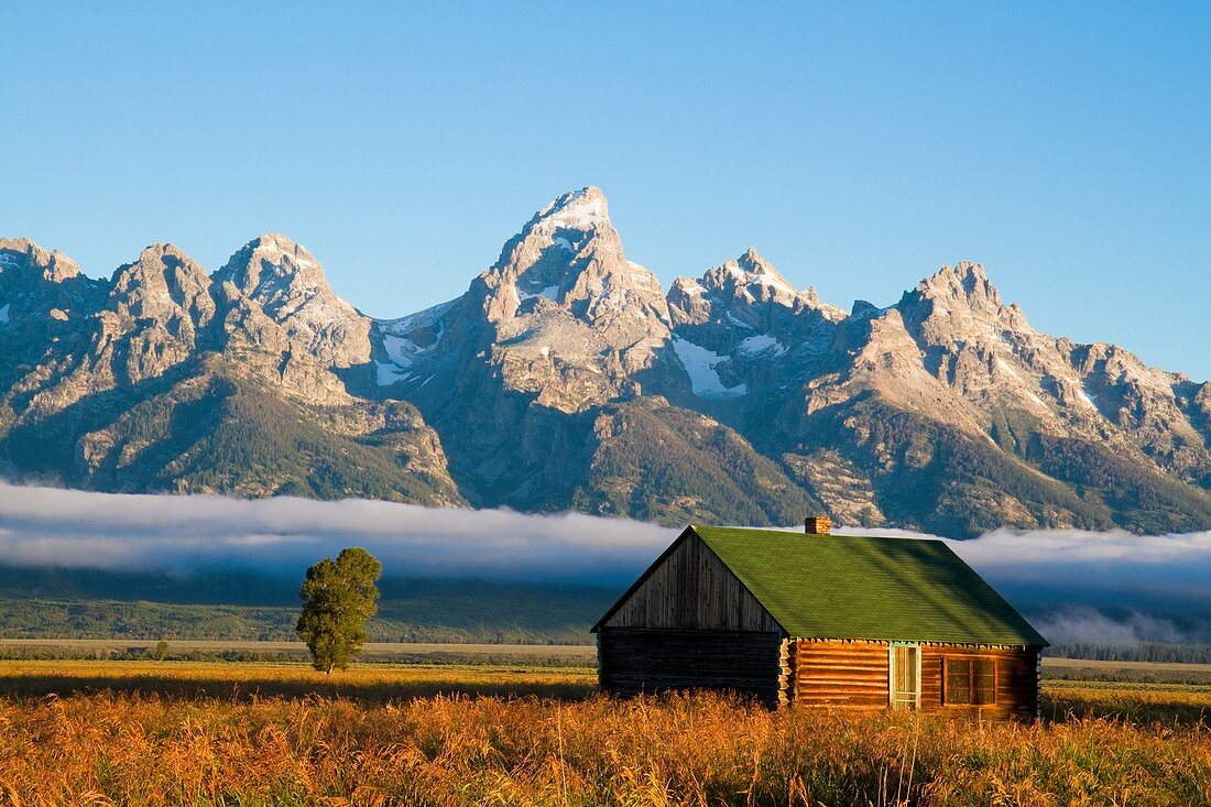 Grand Tetons with an old barn at sunrise