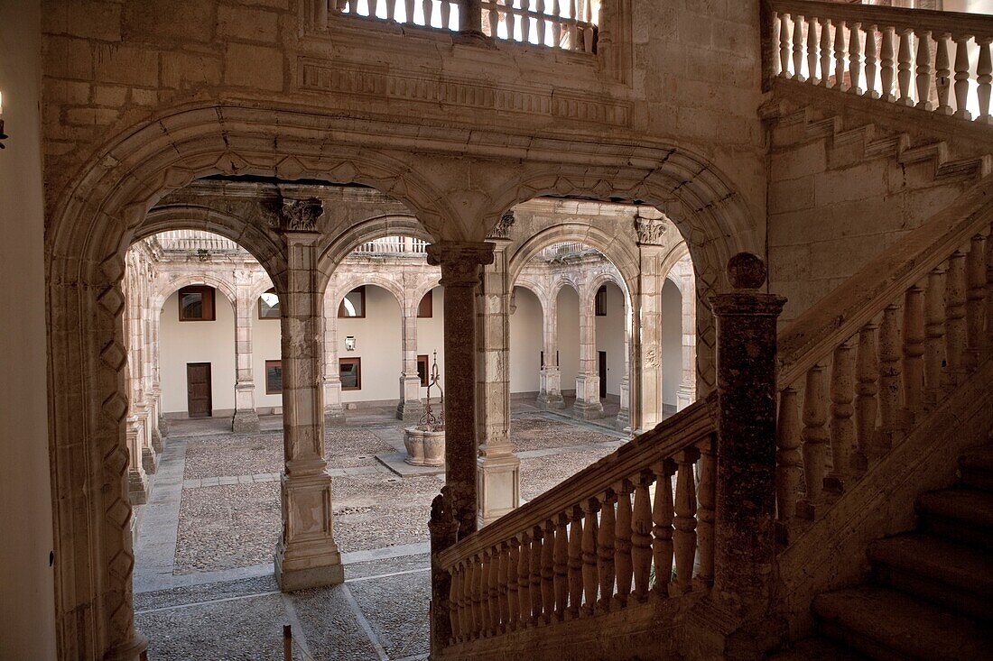 Avellaneda Palace. Plaza de Pe±aranda de Duero. Burgos. Castilla y Le¾n. Spain. Europe.