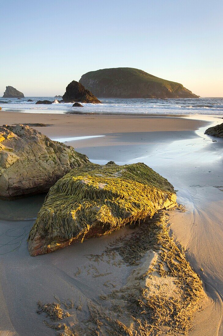 Harris Beach State Park Oregon