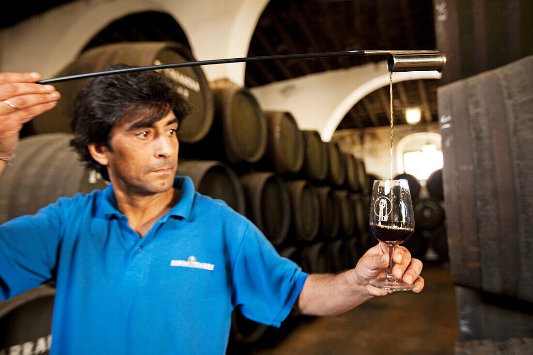 Bodegas Tradición (winery, sherry wine). Jerez de la Frontera, Cádiz province, Andalusia, Spain.