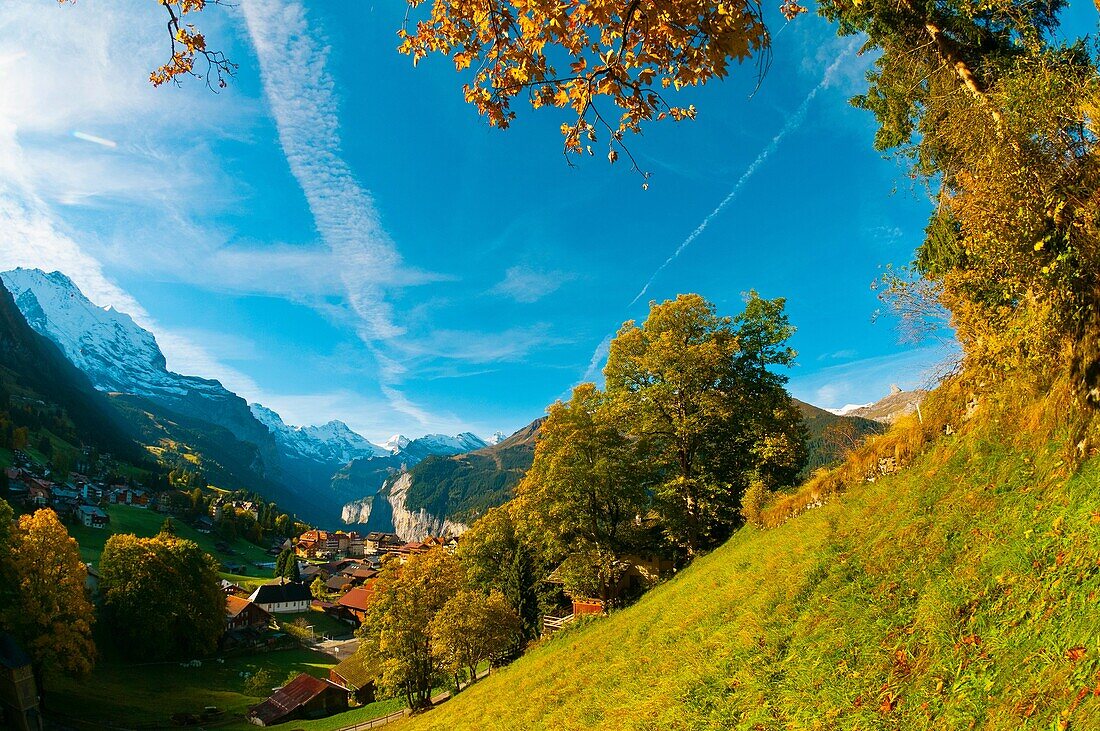 Wengen, Swiss Alps, Canton Bern, Switzerland