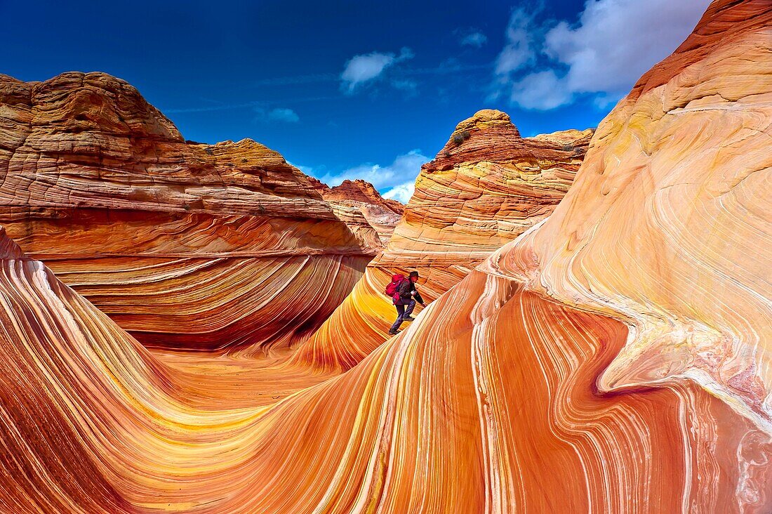 Hiker exploring ´The Wave´, a 190 million year old Jurassic-age Navajo sandstone rock formation, Coyotte Buttes, Paria Canyon-Vermillion Cliffs Wilderness Area, Utah-Arizona border, USA