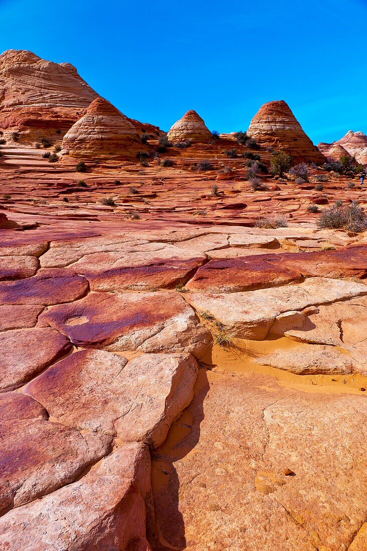 Coyote Buttes North, Paria Canyon-Vermillion Cliffs Wilderness Area, Utah-Arizona border, USA