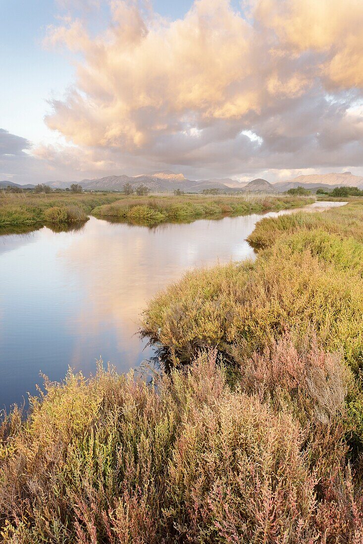 S´Albufereta, vegetation, canal and clouds, Alcudia, Majorca, Spain