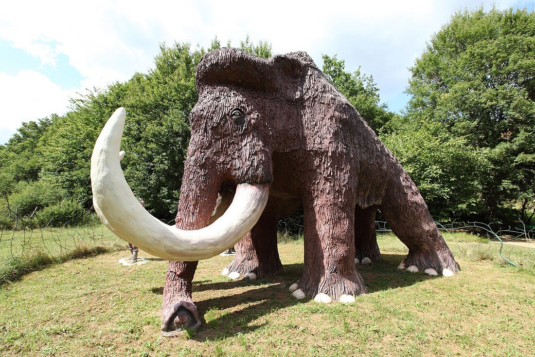 The park&39, s mammoth Cardoland