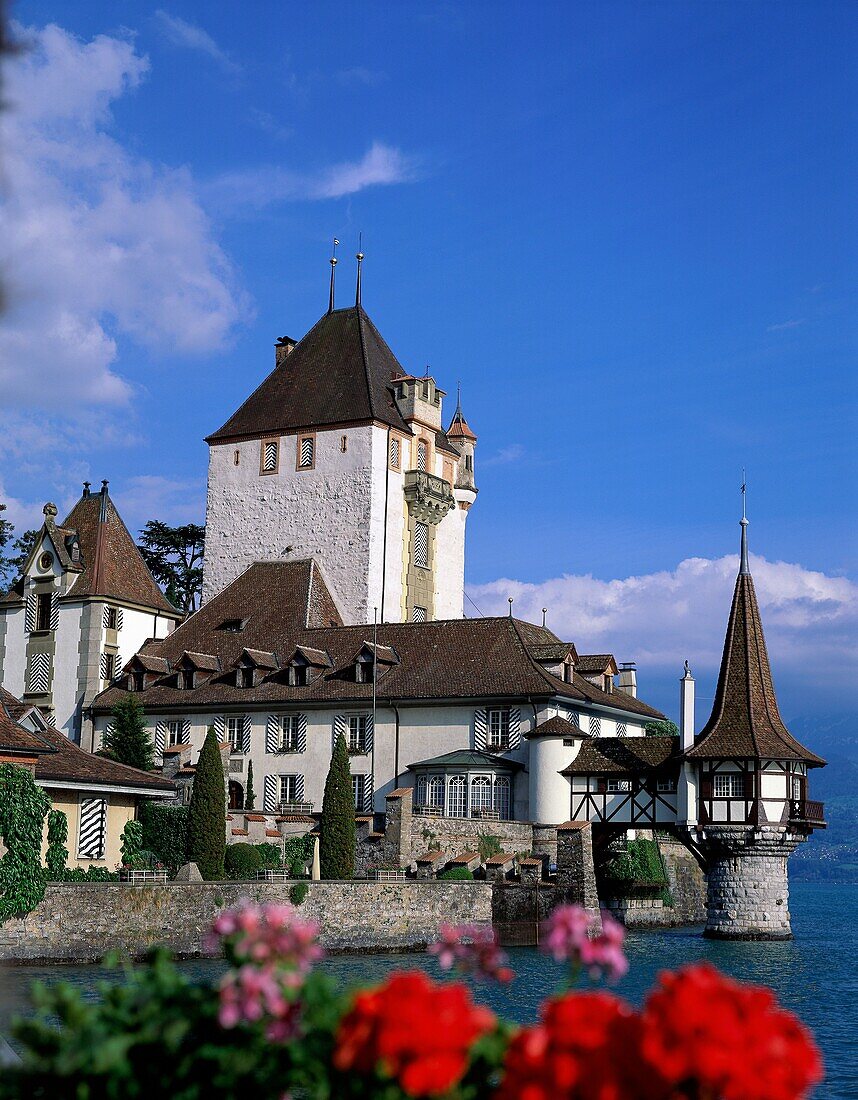 architecture, castle, Lake Thun, oberhofen, picture. Architecture, Castle, Holiday, Lake thun, Landmark, Oberhofen, Picturesque, Quaint, Switzerland, Europe, Thun, Tourism, Travel