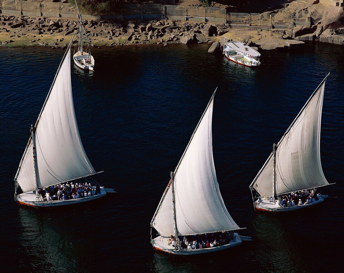 aswan, boats, Egypt, Nile, nile river, river, sail, . Aswan, Boats, Egypt, Africa, Holiday, Landmark, Nile, Nile river, River, Sail, Sailboats, Sailing, Tourism, Travel, Vacation
