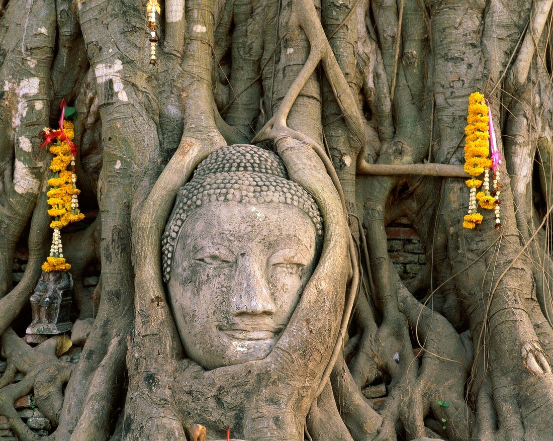 Asia, Ayutthaya, Statue, temple, Thailand, Asia, Wa. Asia, Ayutthaya, Holiday, Landmark, Statue, Temple, Thailand, Tourism, Travel, Vacation, Wat mahathat