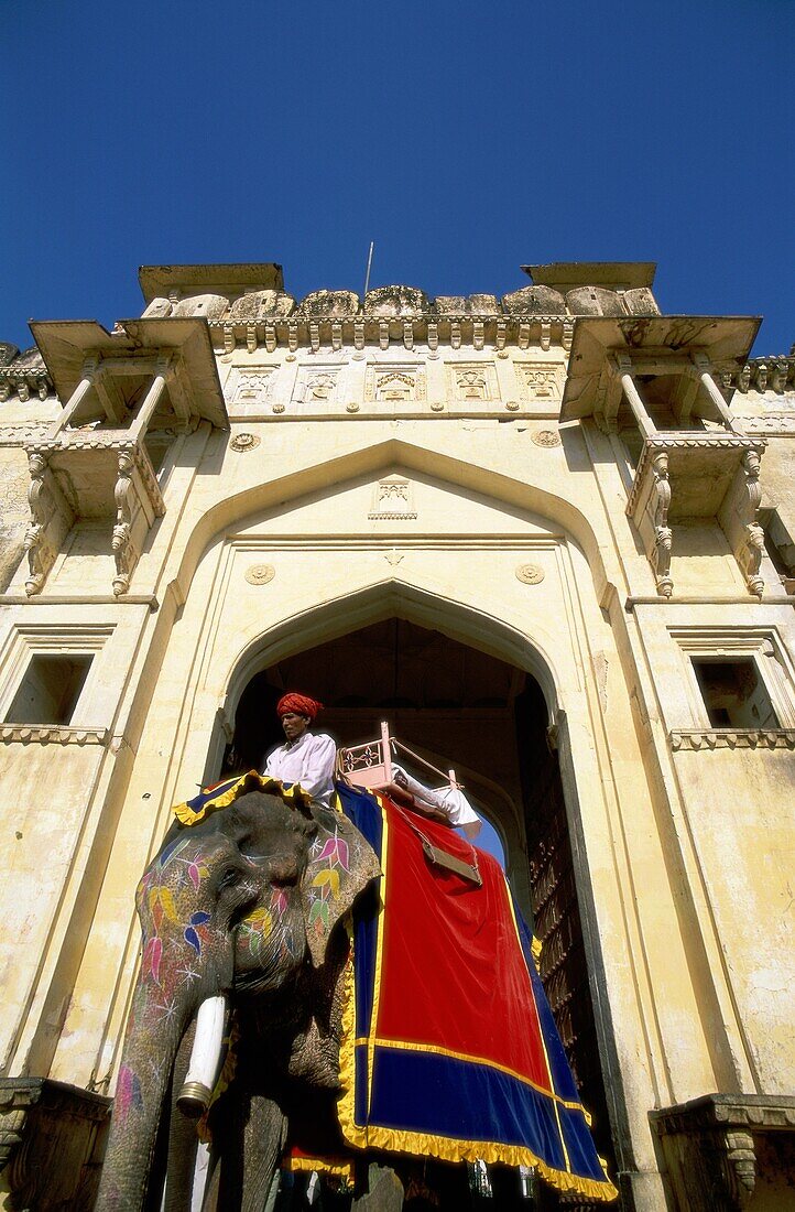 Amber Fort, Asia, Asian, elephants, India, Jaipur, . Amber fort, Asia, Asian, Elephants, Holiday, India, Asia, Jaipur, Landmark, Man, Palace, People, Tourism, Travel, Vacation, Worl