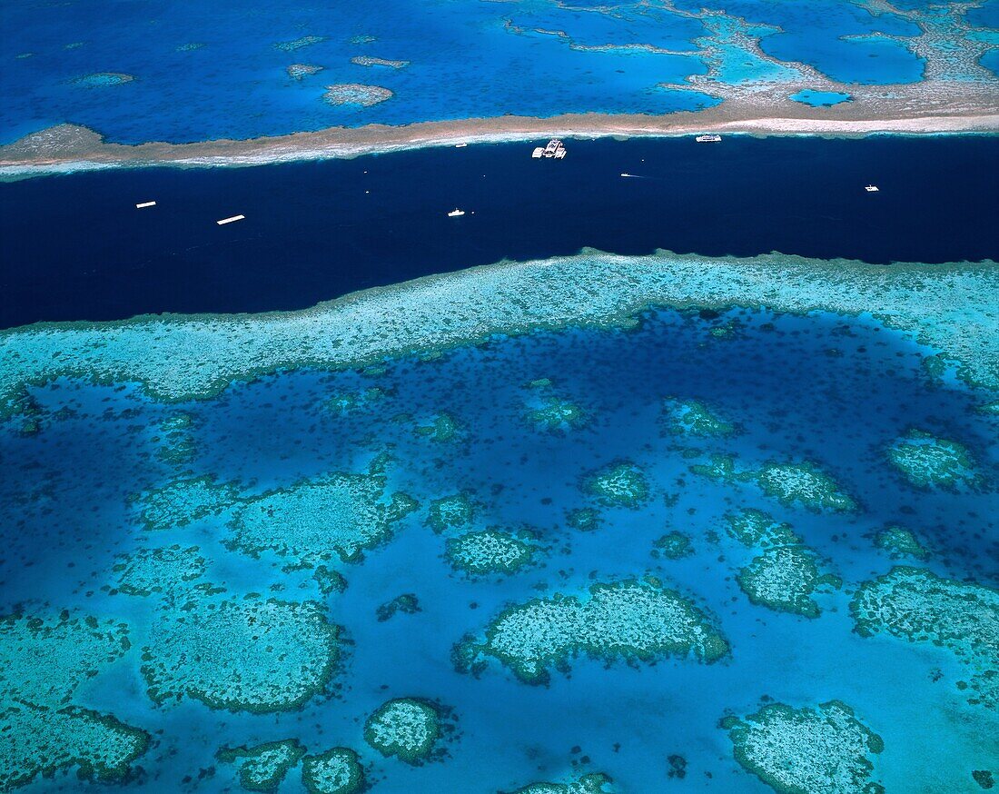 Australia, boatings, boats, coastal, corals, ecosys. Australia, Barrier, Boatings, Boats, Coastal, Corals, Ecosystem, Great, Holiday, Landmark, Life, Marine, Queensland, Reef, Reefs