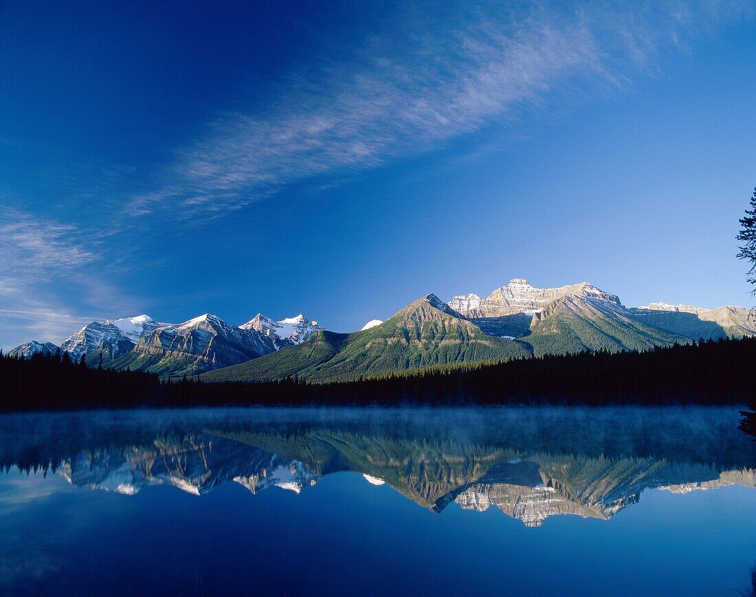 Alberta, Banff, Banff National Park, Canada, forest. Alberta, Banff, Banff national park, Canada, North America, Forest, Herbert, Holiday, Inspiration, Inspirational, Lake, Landmark