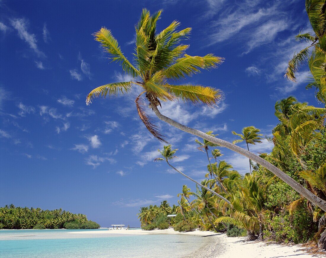 Aitutaki Island, Atoll, Cook Islands, Palm Trees, P. Aitutaki, Atoll, Beach, Cook islands, Holiday, Island, Landmark, Palm trees, Polynesia, Sand, Sea, South pacific, Tourism, Trave