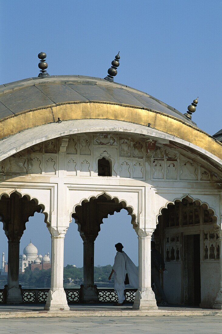 Agra, India, UNESCO World Heritage, Uttar Pradesh, . Agra, Fort, From, Heritage, Holiday, India, Asia, Landmark, Mahal, Taj, Tourism, Travel, Unesco, Uttar pradesh, Vacation, View