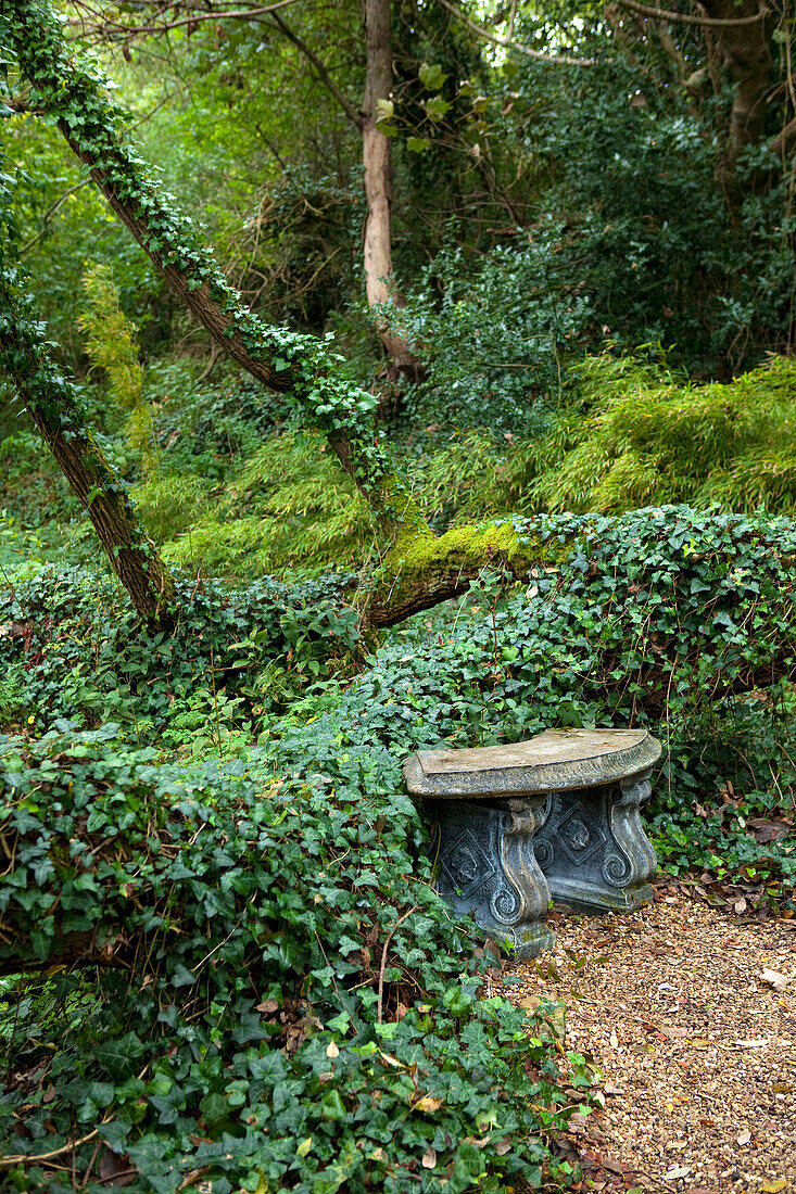 The Japanese Garden, Nr Newquay, Cornwall, England