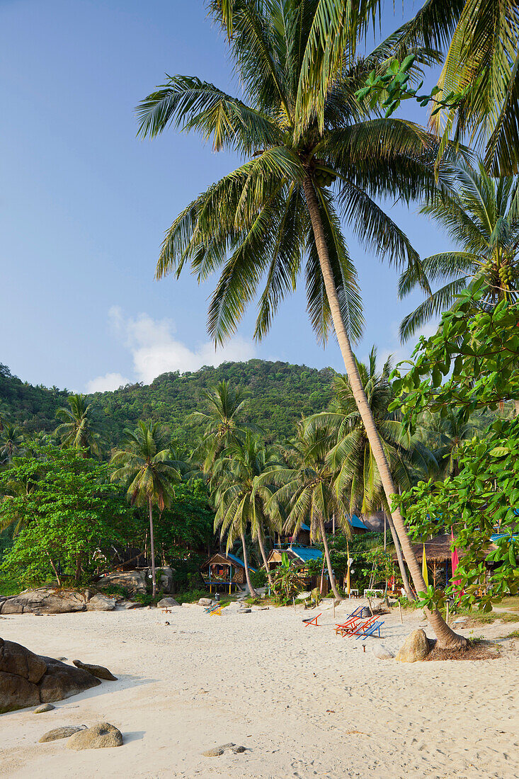 Bungalows on the Thong Reng Beach, Koh Phangan Island, Thailand