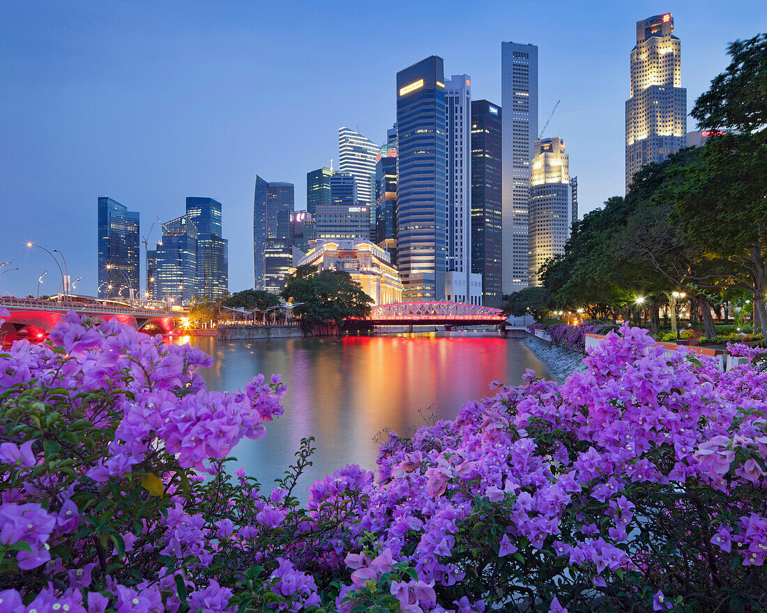 Bougainvillea with the Anderson Bridge, Blumen, Financial District, Marina Bay, Singapore River, Singapore