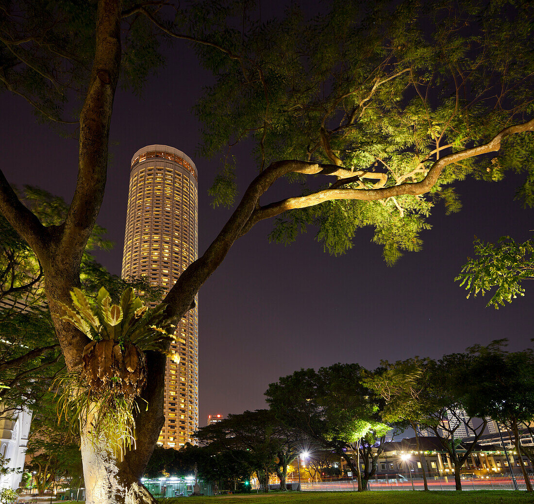 Stamford Hotel hinter dam Baum in der Nacht gesehen, Singapur