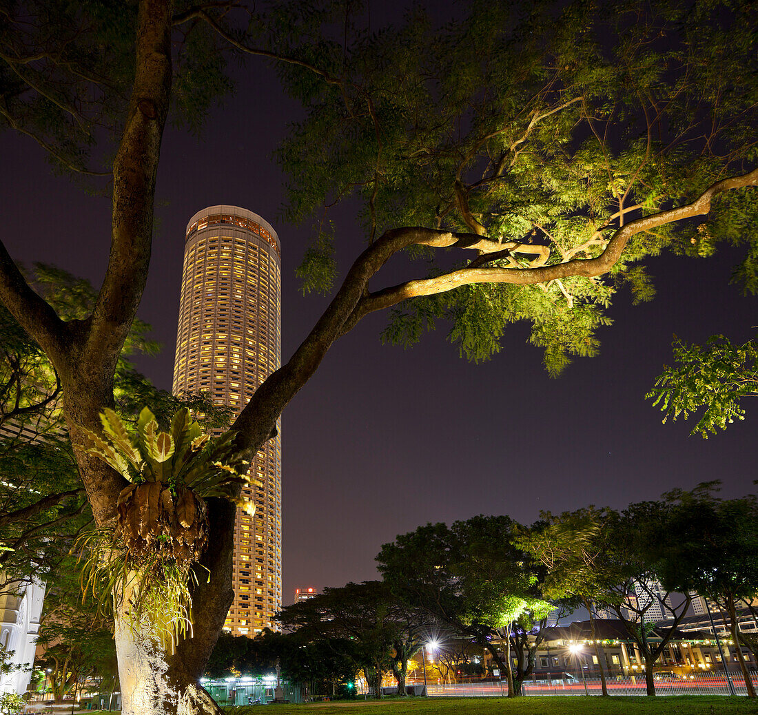 Stamford Hotel seen behind the tree at night, Singapore