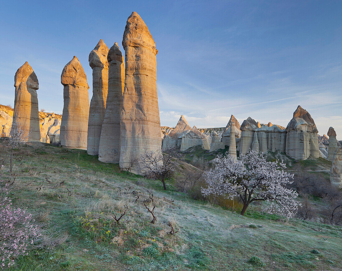 Feenkamine in Liebestal, Tuffstein, Nationalpark Göreme, UNESCO Weltnaturerbe, Kappadokien, Anatolien, Türkei