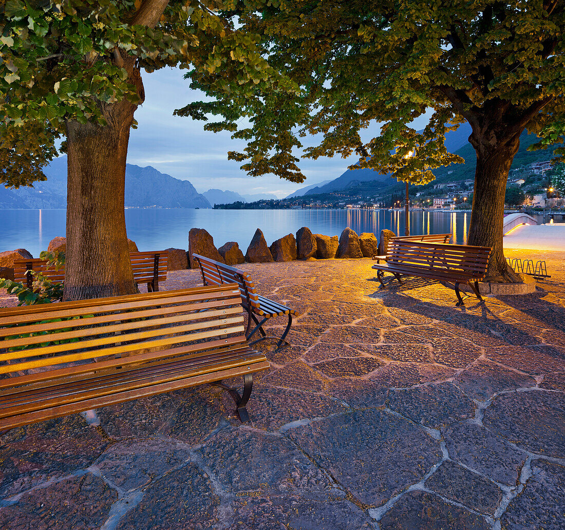 Benches under trees along the banks of Lake Garda, Cassone, Malcesine, Veneto, Italy