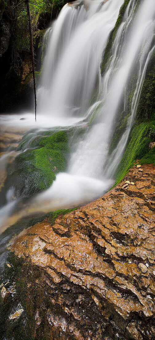 Waterfall in Vallesinella valley, Brenta Adamello Nature Reserve, Madonna di Campiglio, Trentino, Italy