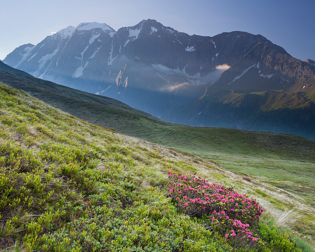 View from Oberberg towards Hochfeiler (3510m), Pfitsch Valley, South Tirol, Italy