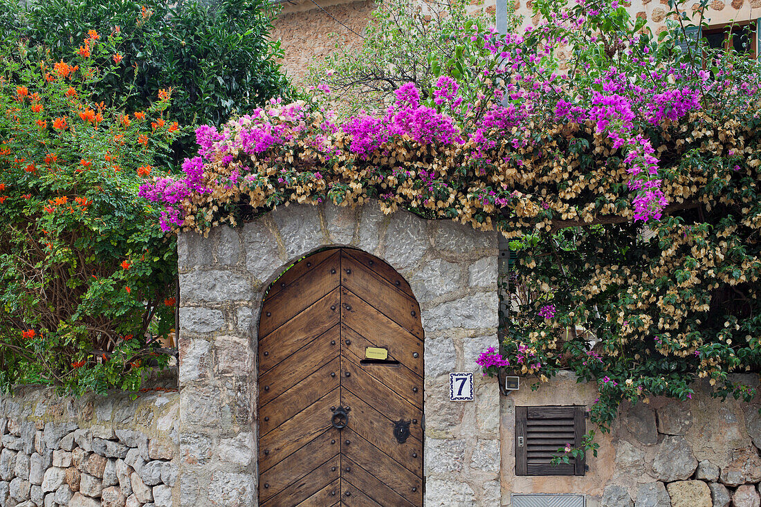 House entrance with blossoming bushes, Valldemossa, Mallorca, Spain