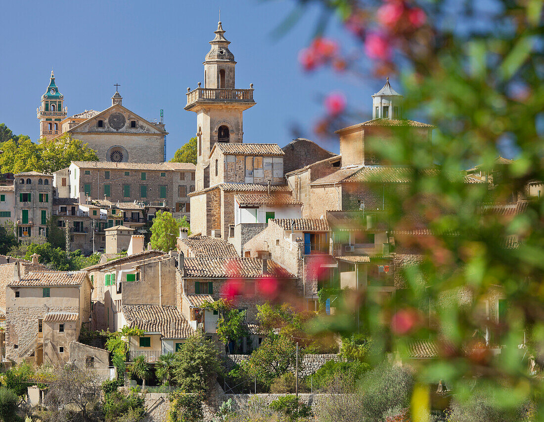 Stadtansicht von Valldemossa, Oleander, im Vordergrund, Mallorca, Spanien