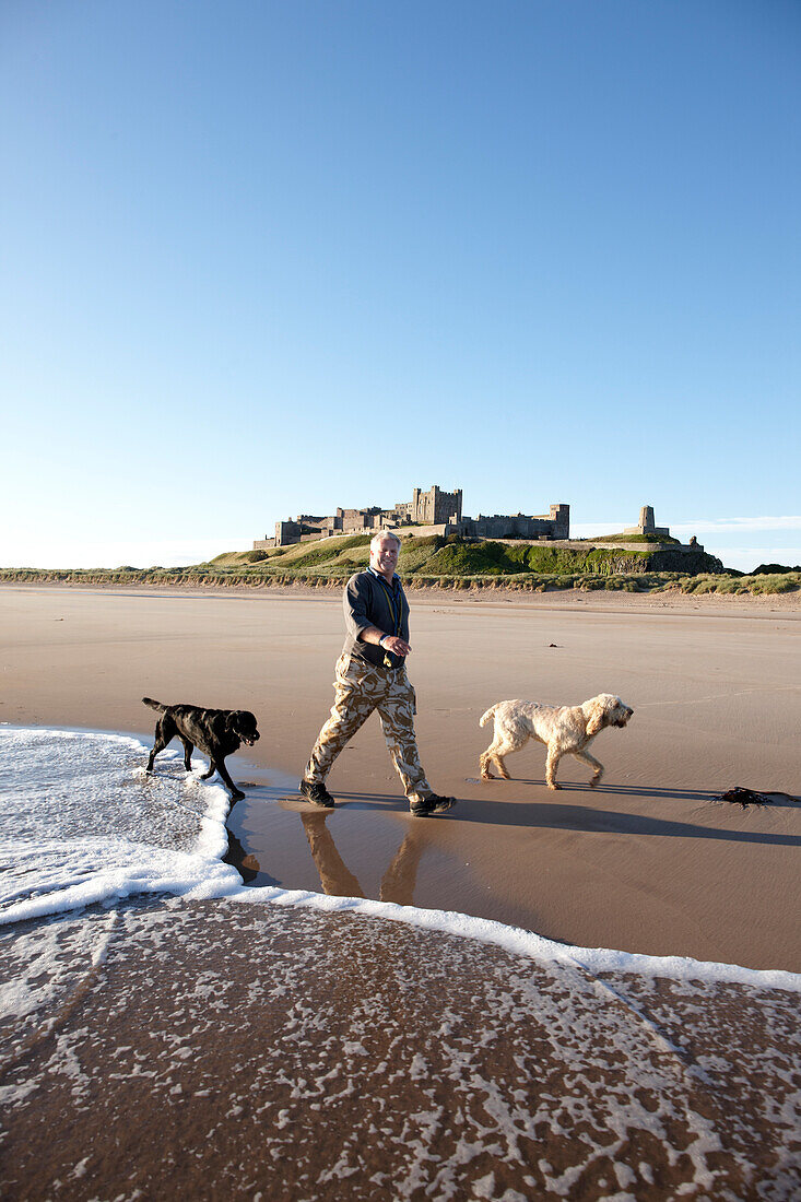 Francis Watson-Armstrong with two dogs on the beach in front of Bamburgh Castle, Bamburgh, Northumberland, England, Great Britain, Europe