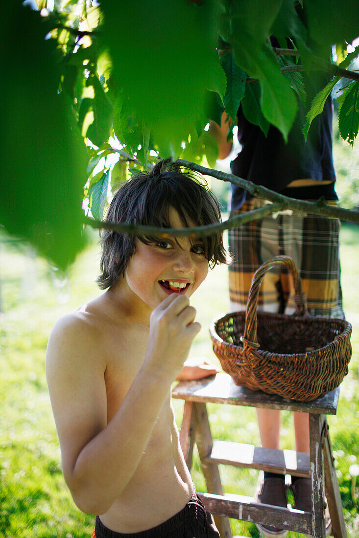 Junge isst Kirschen, Haus Strauss, Bauernkate in Klein Thurow, Roggendorf, Mecklenburg-Vorpommern, Deutschland