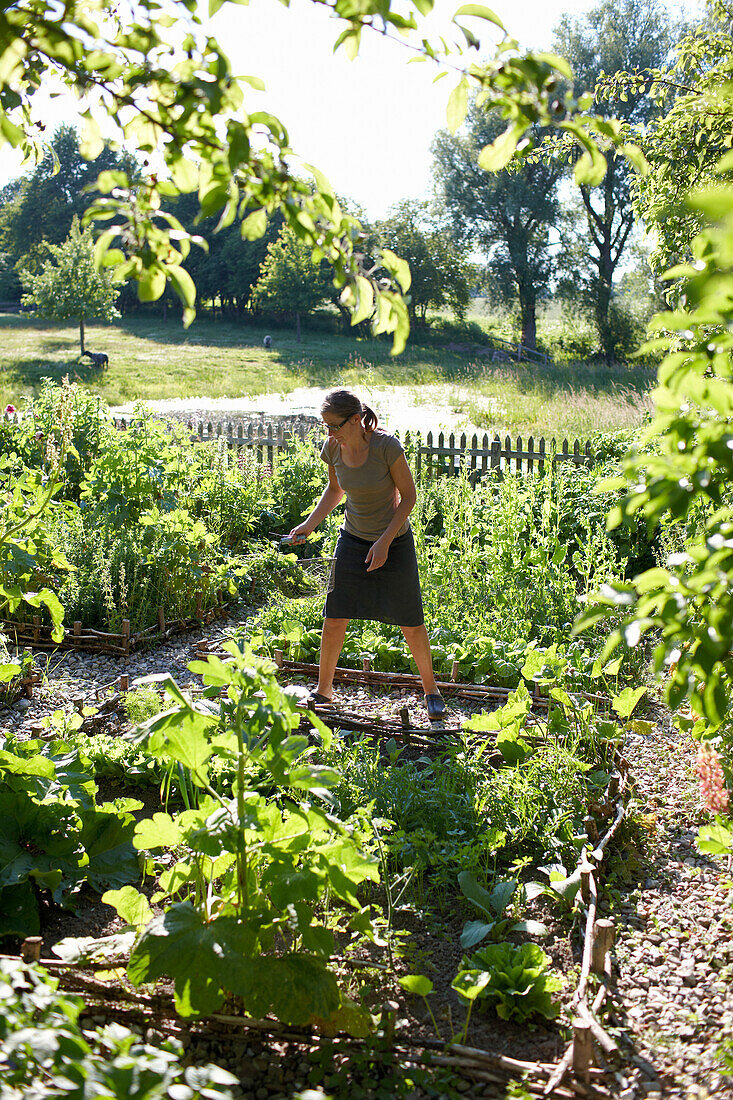 Frau bei der Gartenarbeit, Haus Strauss, Bauernkate in Klein Thurow, Roggendorf, Mecklenburg-Vorpommern, Deutschland