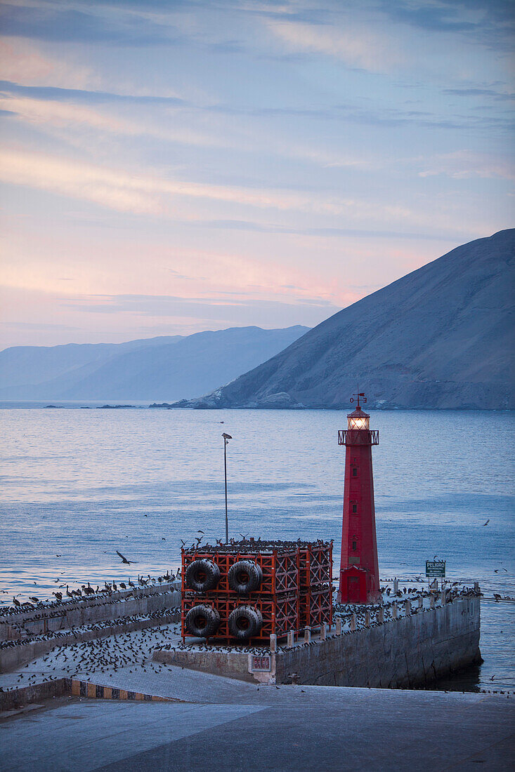 Birds on pier and lighthouse at dusk, Iquique, Tarapaca, Chile, South America