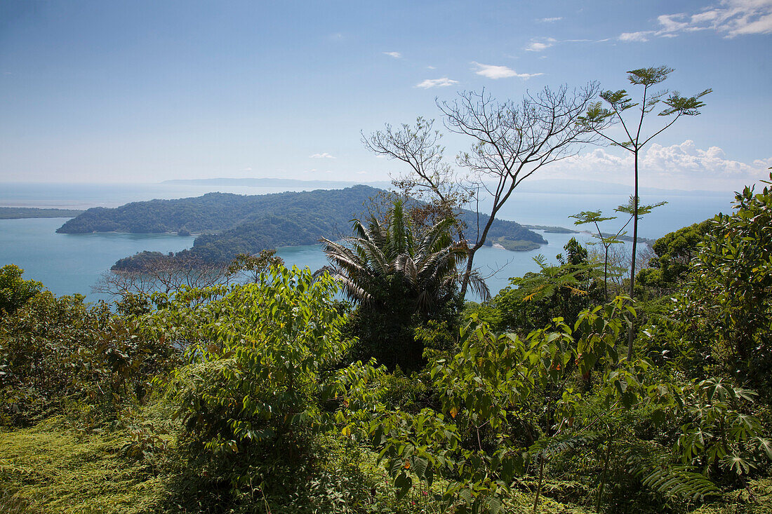 Regenwald und Küste in der Bucht von Golfito, Golfito, Puntarenas, Costa Rica, Mittelamerika