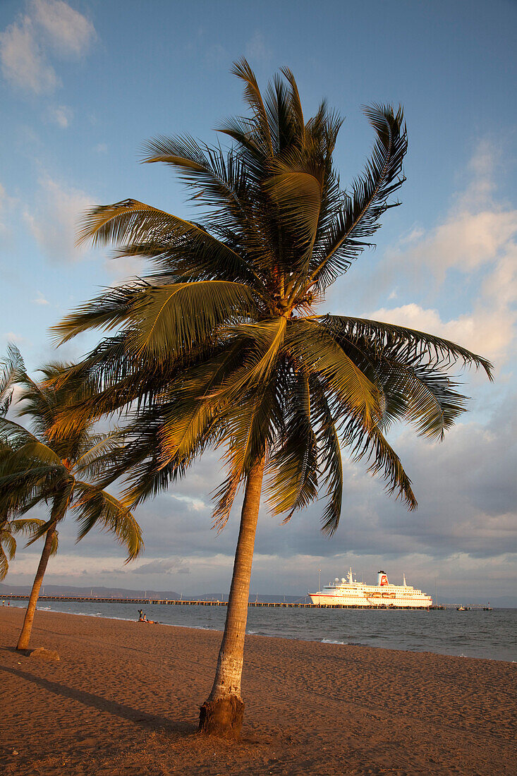Coconut tree at beach with cruise ship MS Deutschland, Reederei Peter Deilmann at pier, Puntarenas, Costa Rica, Central America