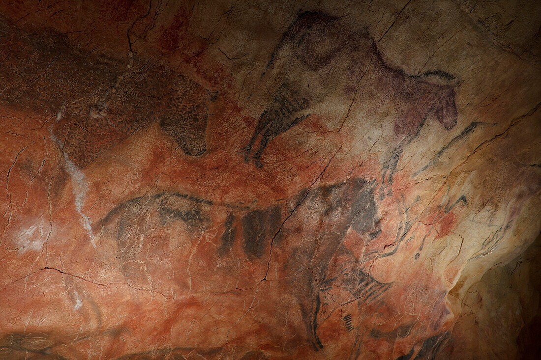 horses, prehistoric painting, cave painting, about 15000 BC, Cueva de Tito Bustillo, cave near Ribadesella, replica, Parque de la Prehistoria de Teverga, Teverga, Park of Prehistory in Teverga, province of Asturias, Principality of Asturias, Northern Spai