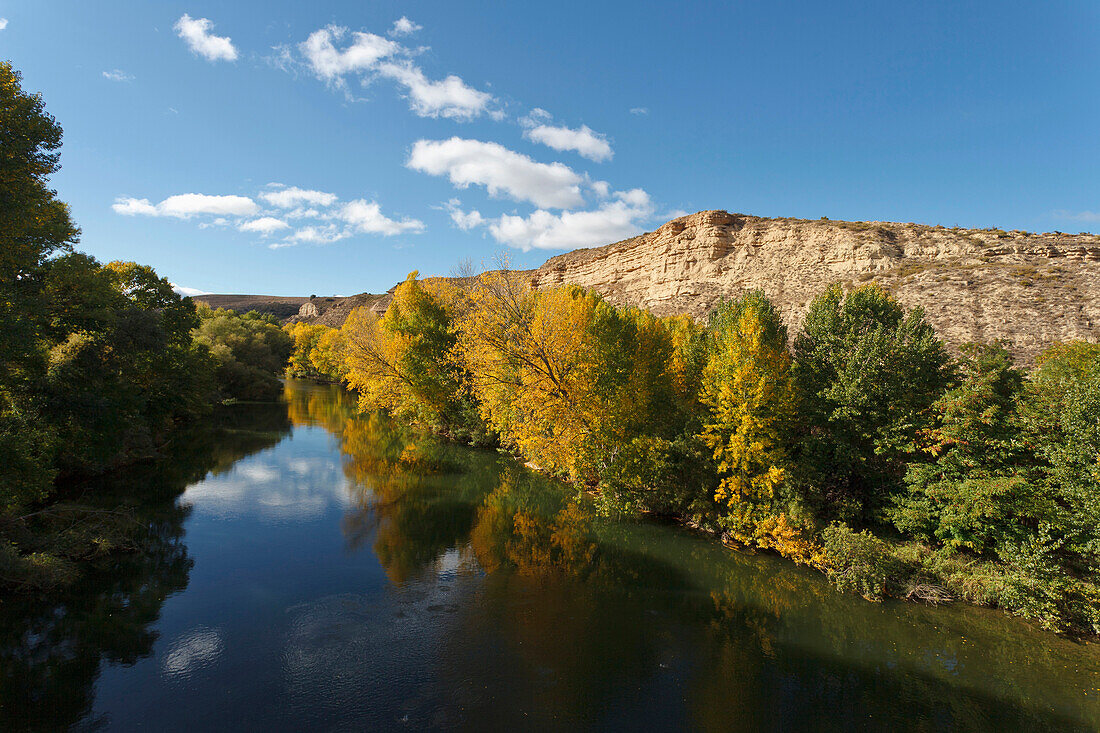 Rio Ebro, Fluss, bei Elciego, Herbst, La Rioja Alavesa, Provinz Alava, Euskadi, Baskenland, Nordspanien, Spanien, Europa