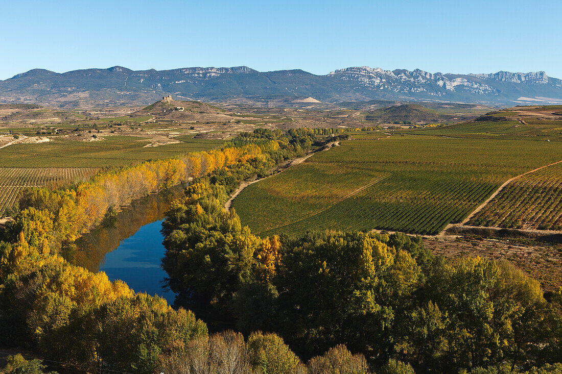 Rio Ebro, Ebro river, vinyards, near Haro, autumn, La Rioja, Northern Spain, Spain, Europe