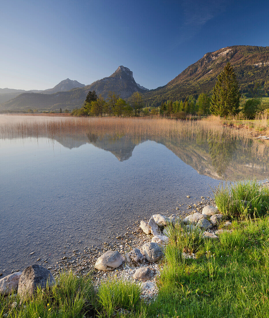 Blick auf den Wolfgangsee vor Bergwerkskogel, Sparber und Bleckwand, Salzkammergut, Salzburg, Österreich, Europa