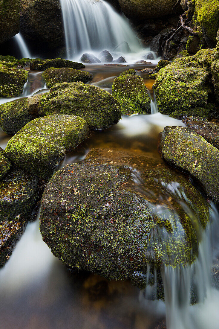 Wasserfall und Felsen in der Ysperklamm, Große Ysper, Weinsberger Wald, Niederösterreich, Österreich, Europa