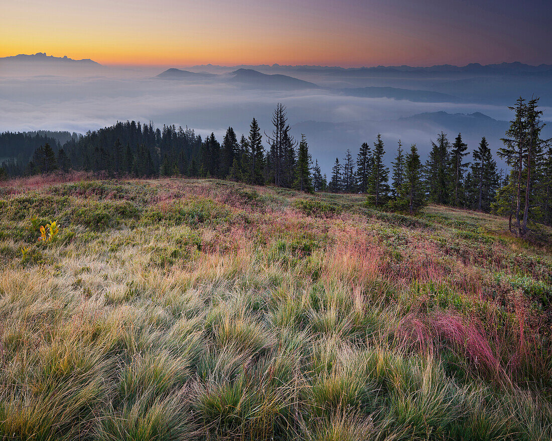 Blick vom Hochkeil über eine Almwiese ins Salzburger Land, Salzburg, Österreich, Europa